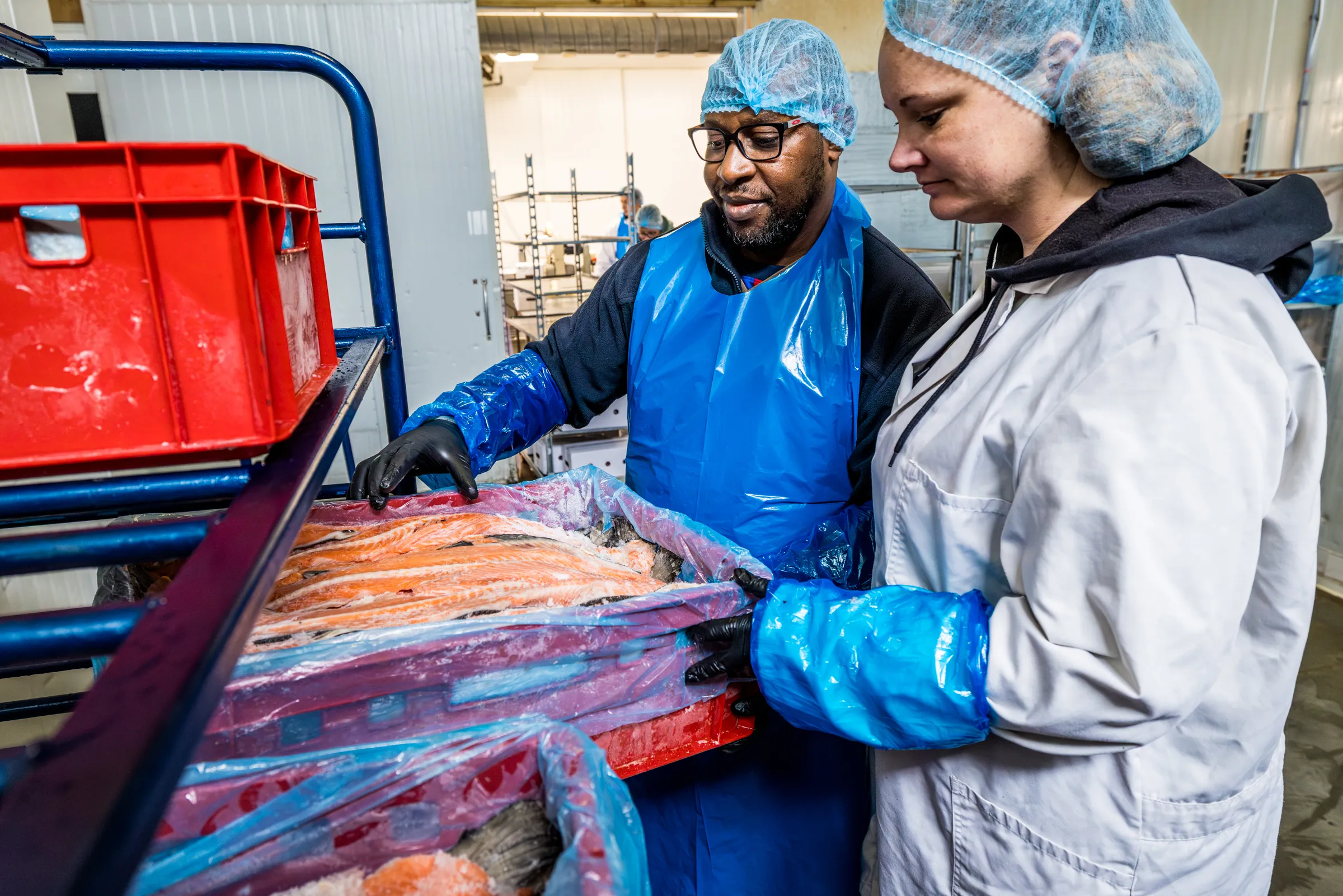 Verse zalm wordt verwerkt als ingrediënt voor de vleesmixen